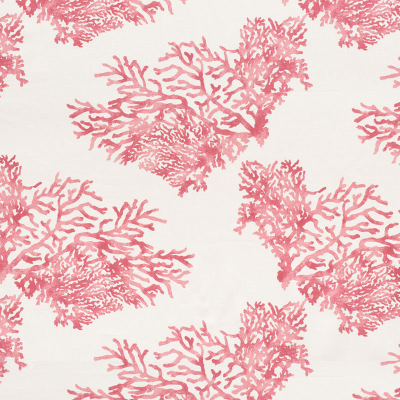 GREAT BARRIER REEF PINK