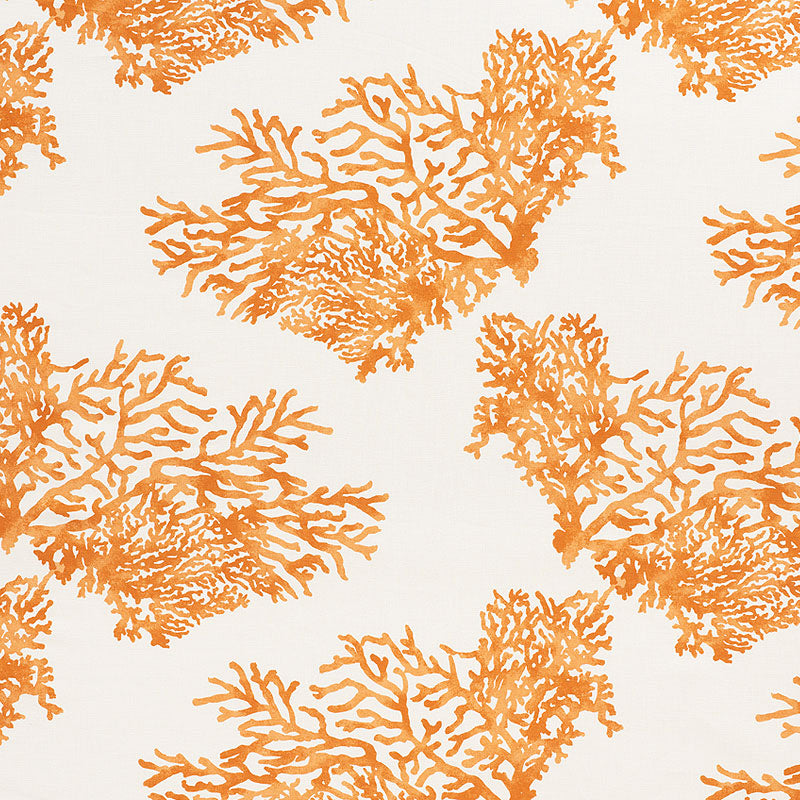 GREAT BARRIER REEF ORANGE