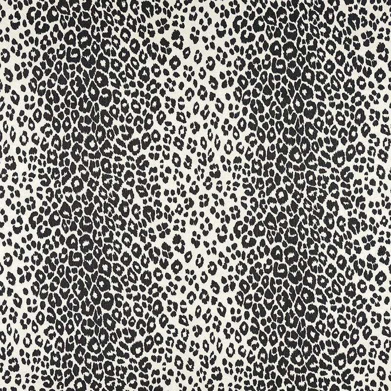 ICONIC LEOPARD GRAPHITE
