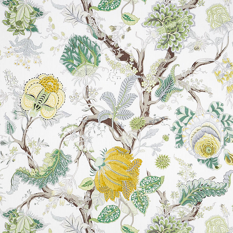 INDIAN ARBRE CITRON