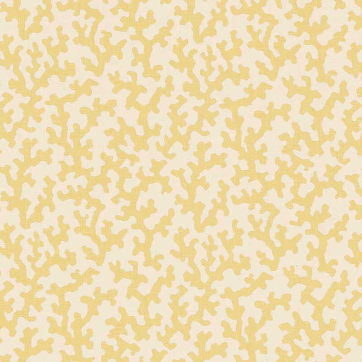 FOLLY STRAW