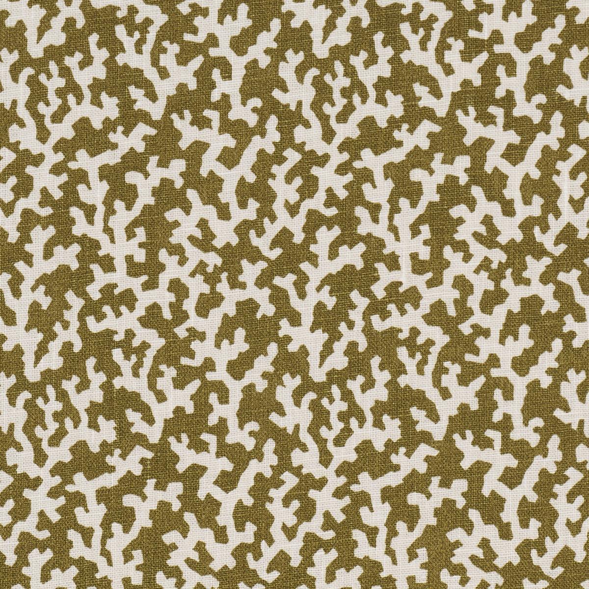 FOLLY OLIVE