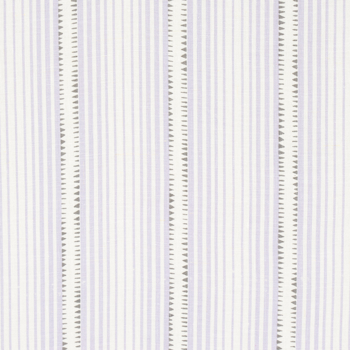 MONCORVO LILAC