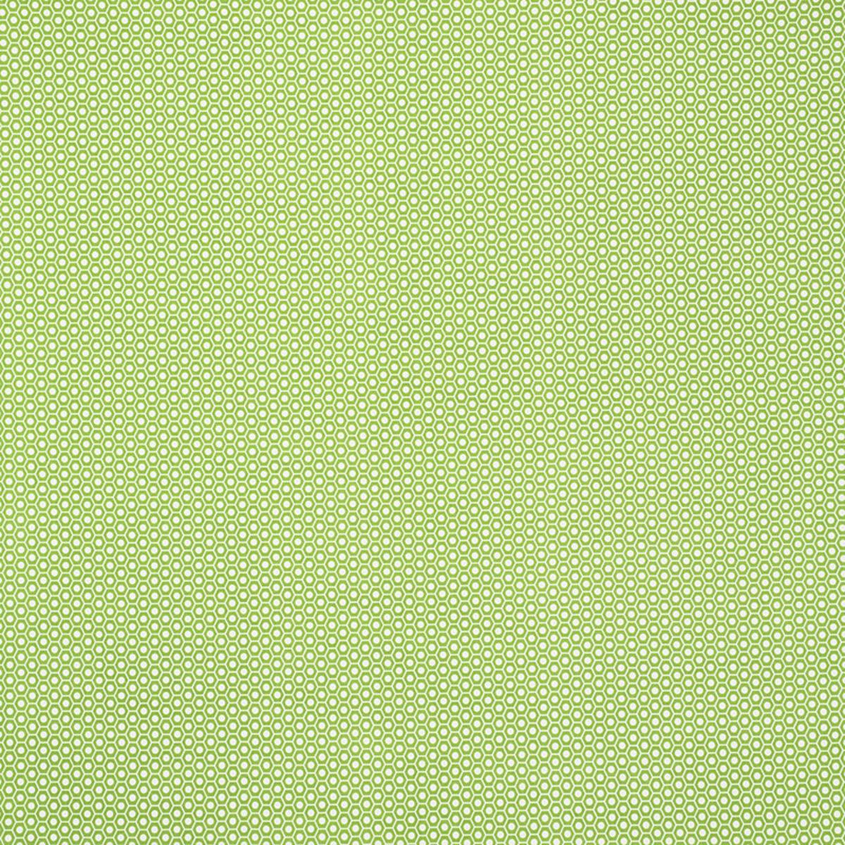 QUEEN B II INDOOR/OUTDOOR GREEN