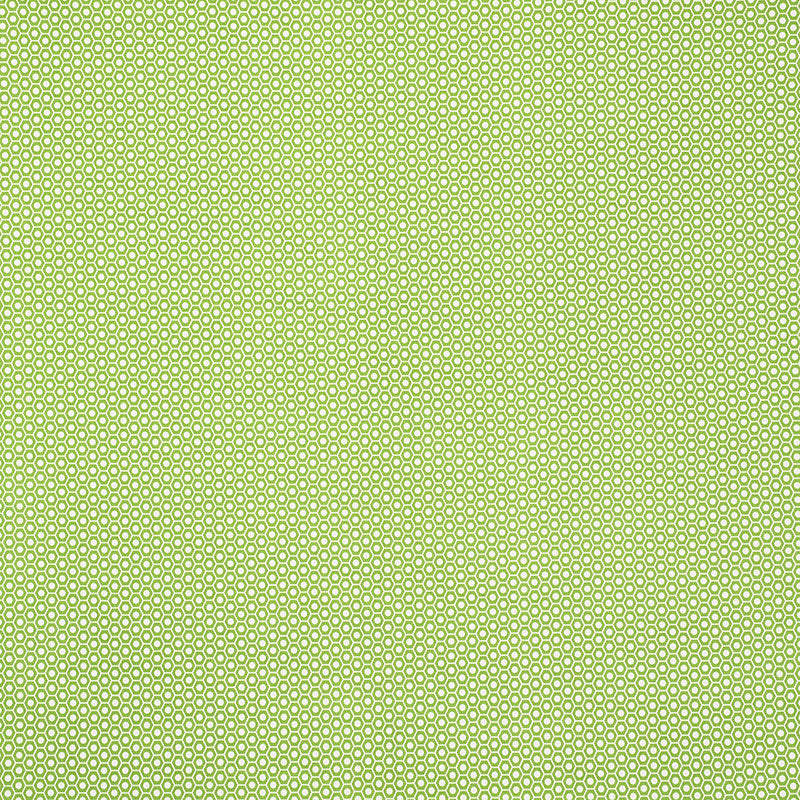 QUEEN B II INDOOR/OUTDOOR GREEN