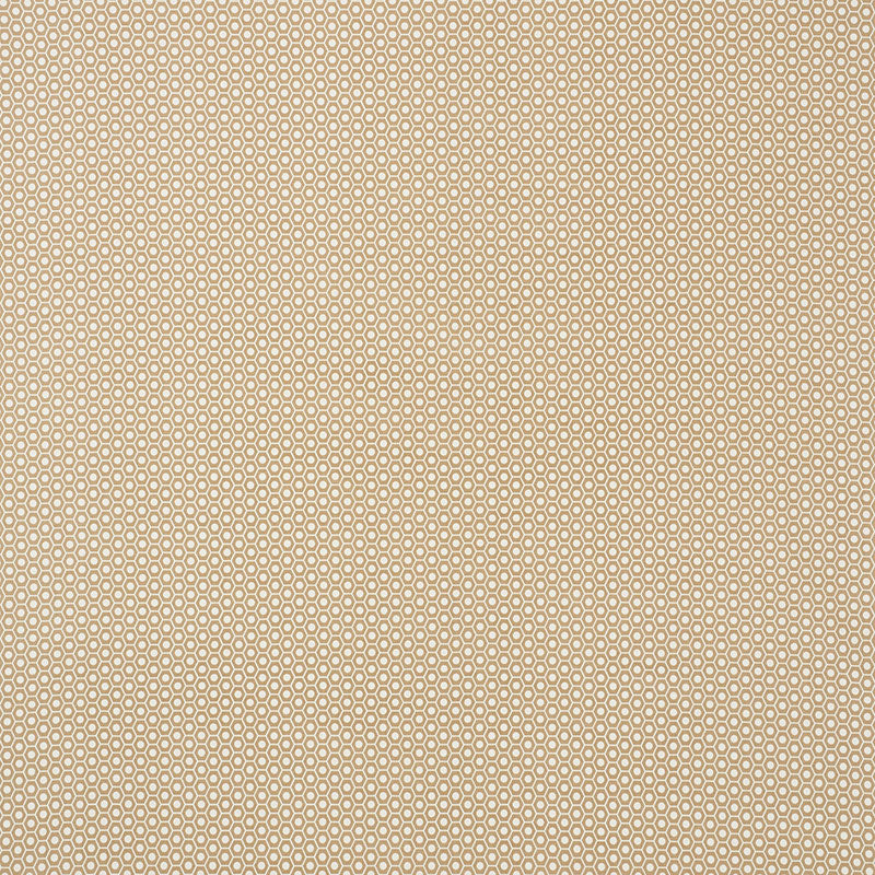 Schumacher QUEEN B II INDOOR/OUTDOOR SAND Fabric | Atlanta Fabrics