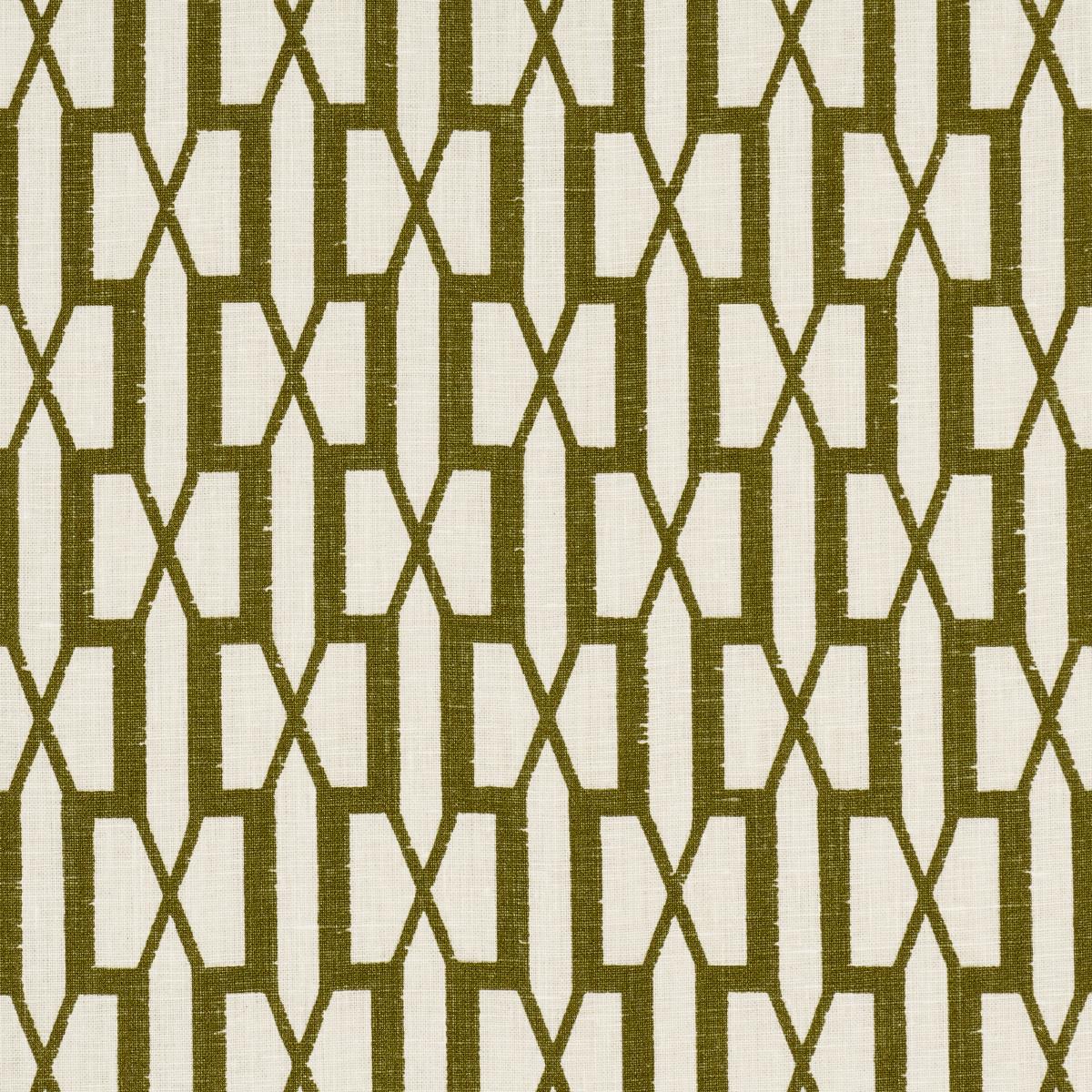 BELVEDERE OLIVE