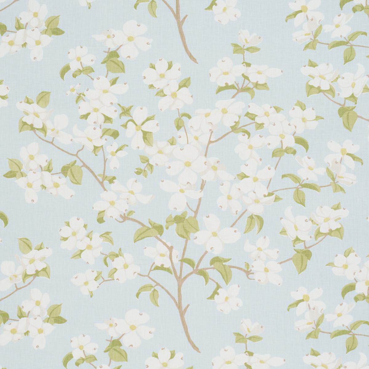 BLOOMING BRANCH SKY
