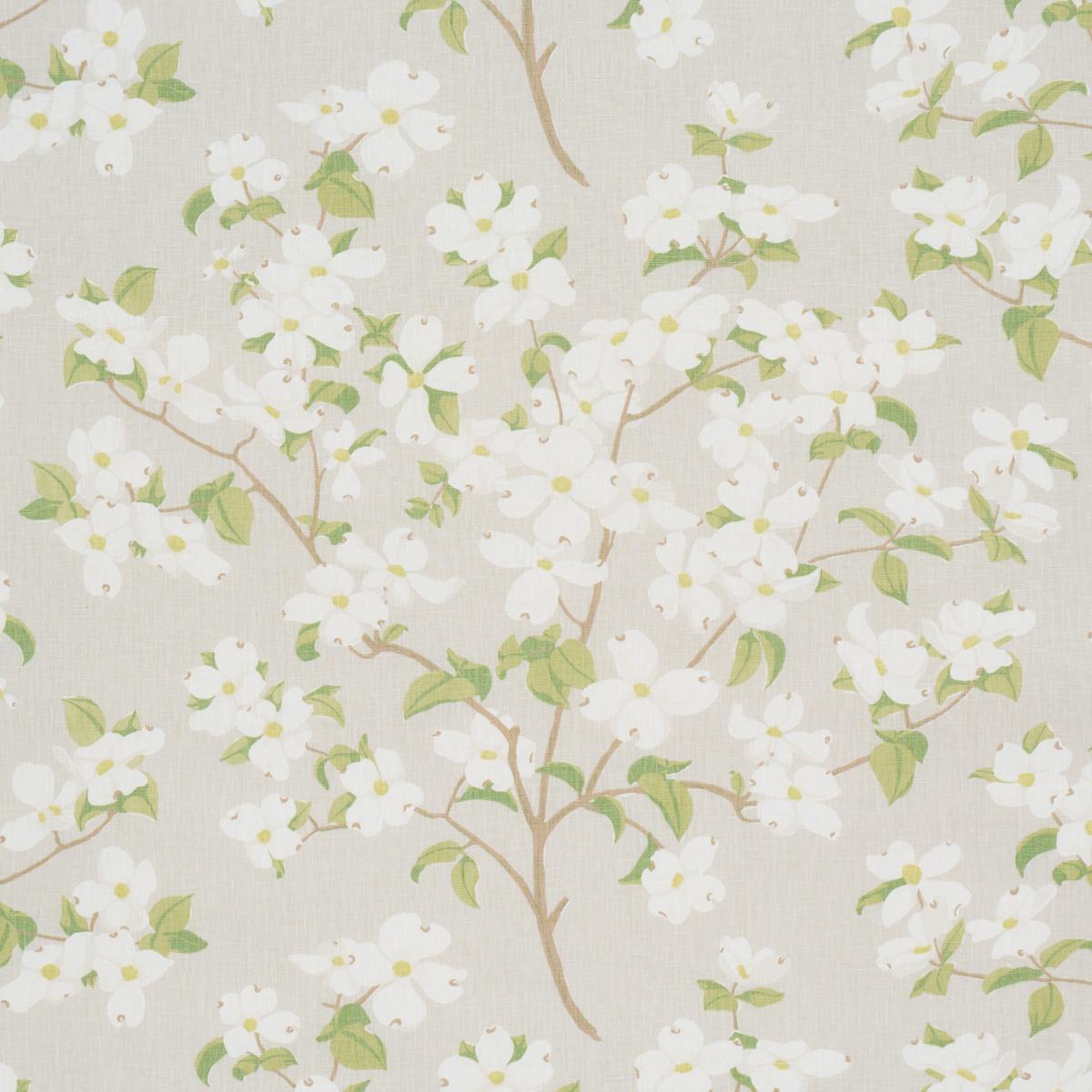 BLOOMING BRANCH DOVE