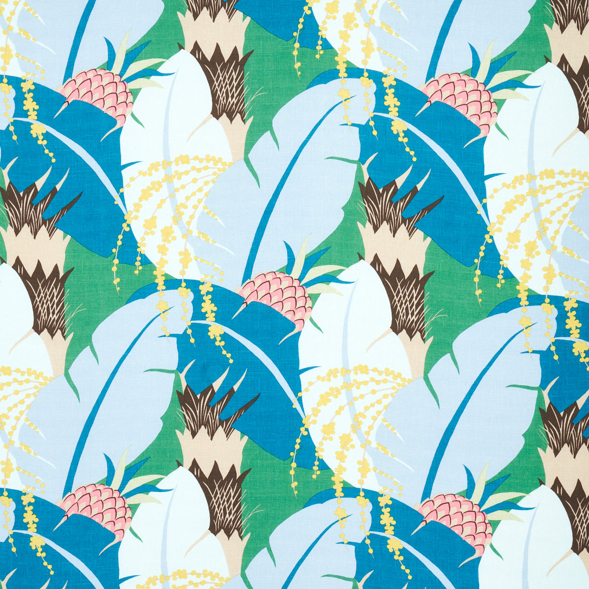 Ananas Peacock