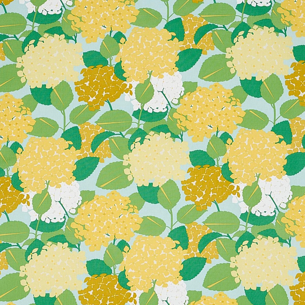 HYDRANGEA YELLOW
