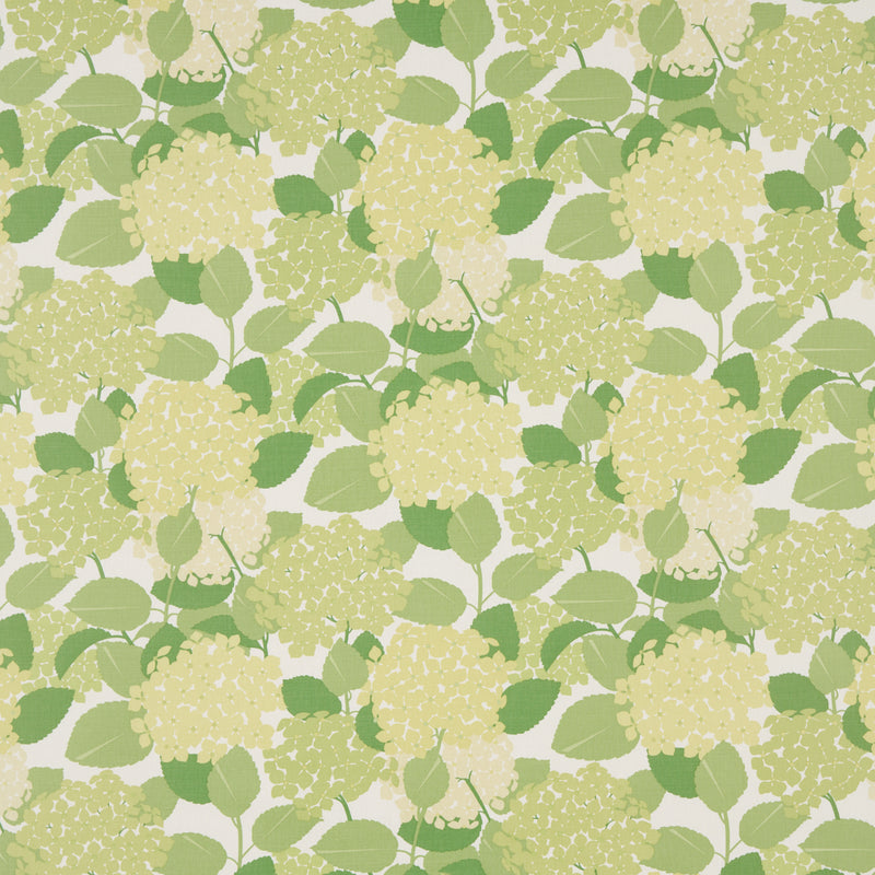 Schumacher HYDRANGEA GREEN  | Atlanta Fabrics