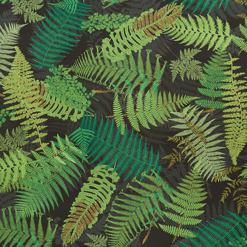 Schumacher FERNARIUM GREEN & BLACK Fabric | Atlanta Fabrics