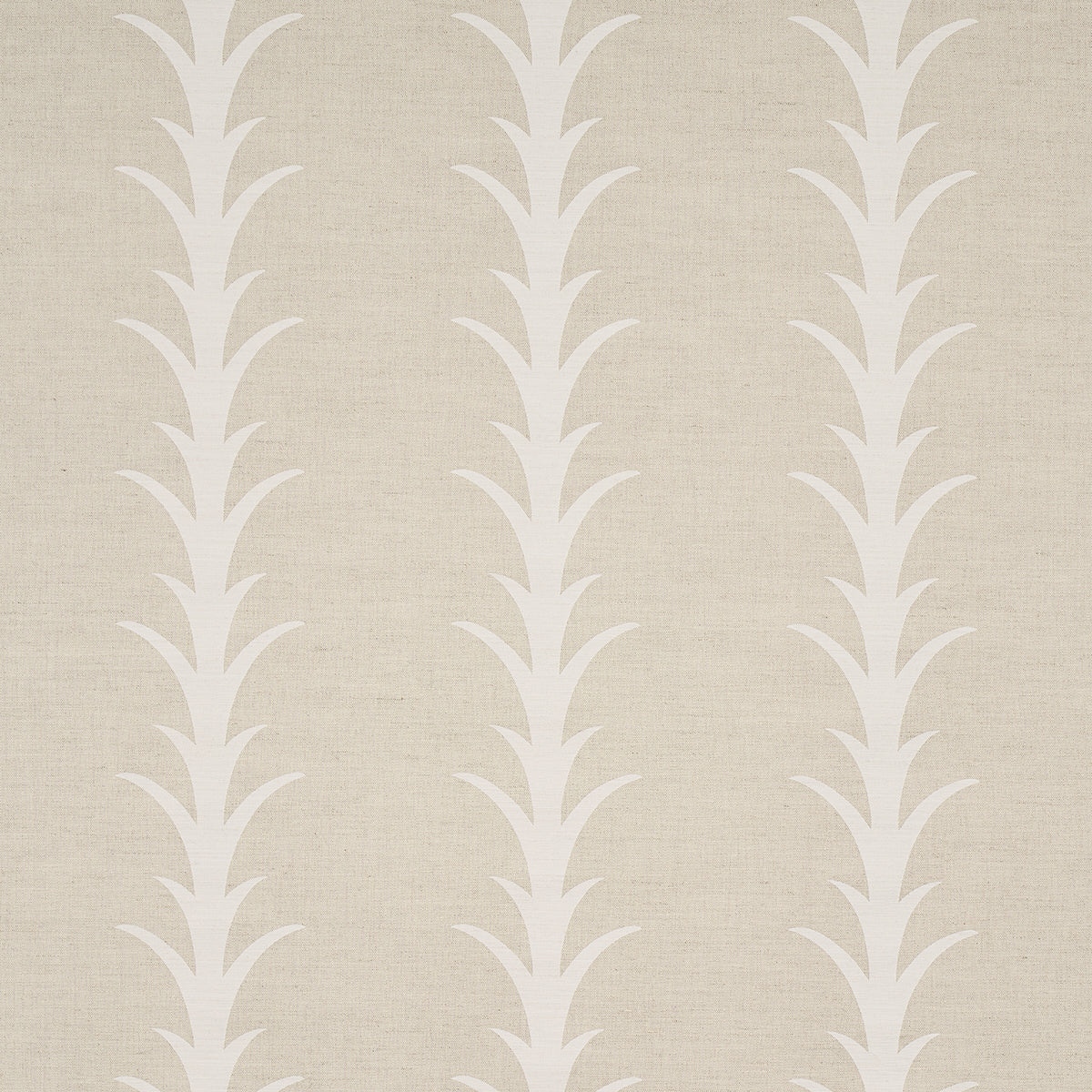 ACANTHUS STRIPE NATURAL