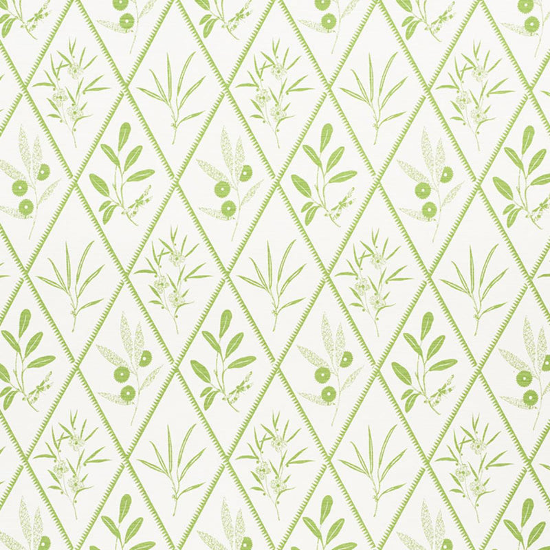 SCHUMACHER ENDIMIONE LEAF FABRIC | Atlanta Fabrics