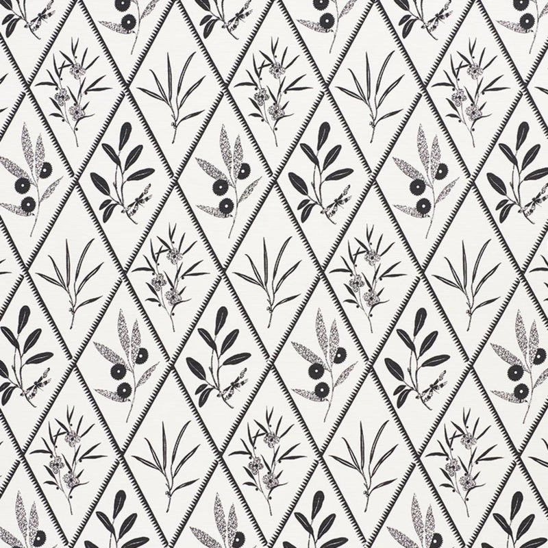 SCHUMACHER ENDIMIONE CARBON FABRIC | Atlanta Fabrics