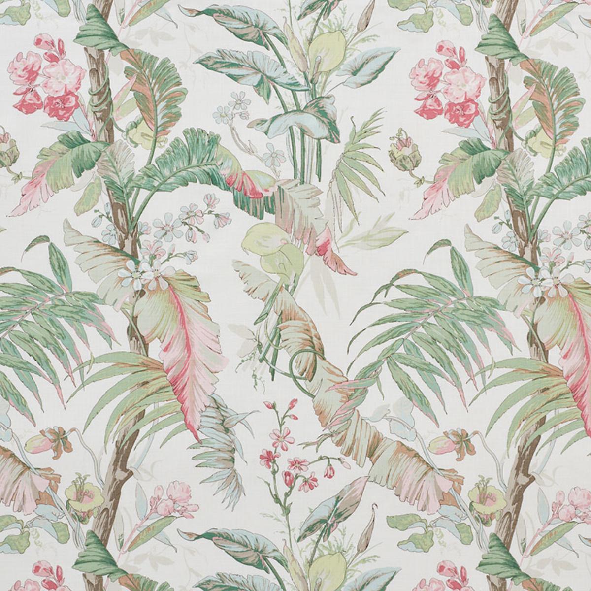 TROPIQUE BLUSH