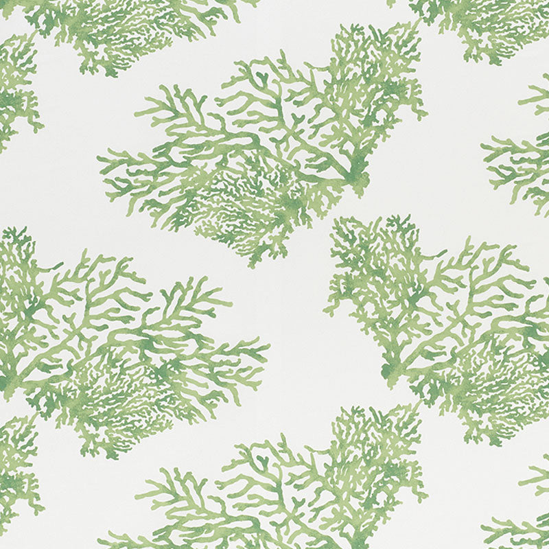 Schumacher GREAT BARRIER REEF II GREEN Fabric | Atlanta Fabrics