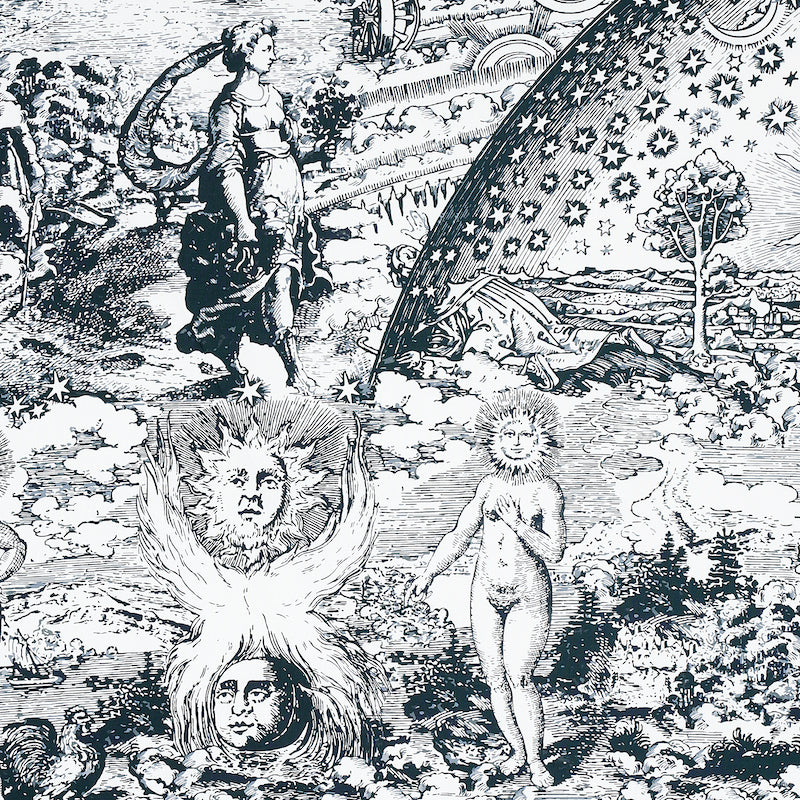 Schumacher MODERN TOILE BLACK Fabric | Atlanta Fabrics