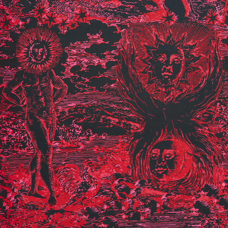 MODERN TOILE PINK & BLACK