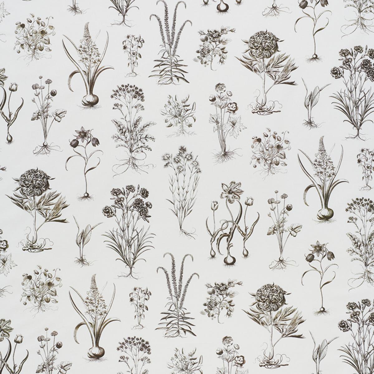 CABOT BOTANICAL IVORY