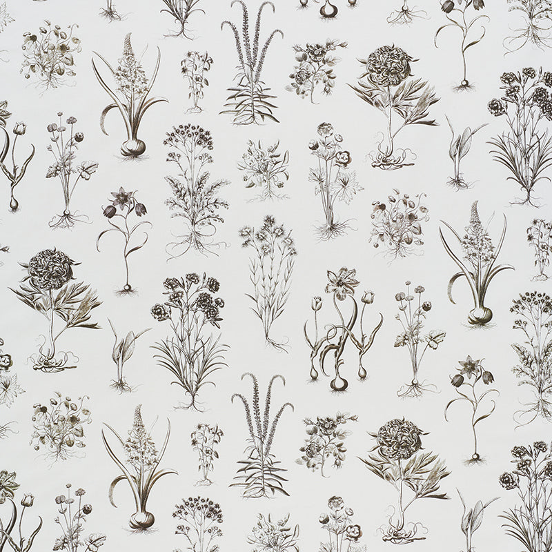 CABOT BOTANICAL IVORY