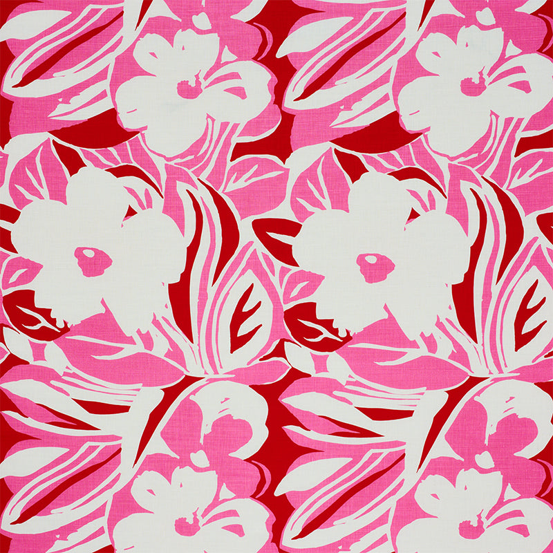 STEVIE PINK