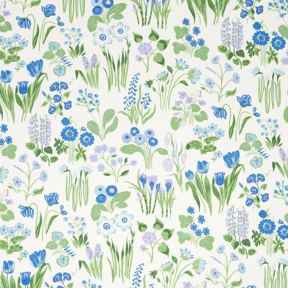 CARLY BLUE BELL