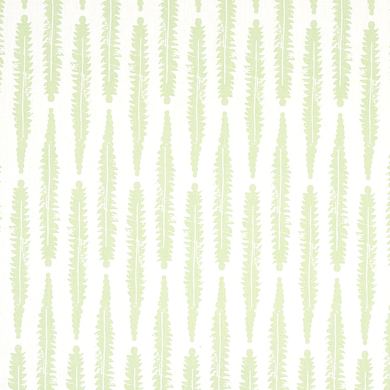 FERN SAGE