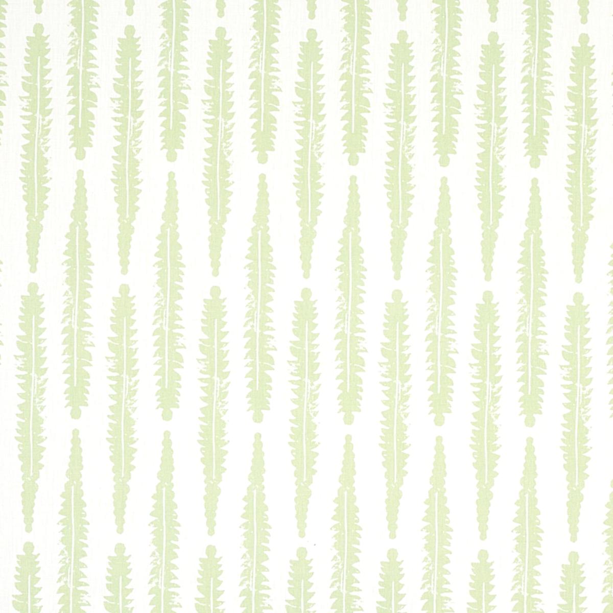 FERN SAGE