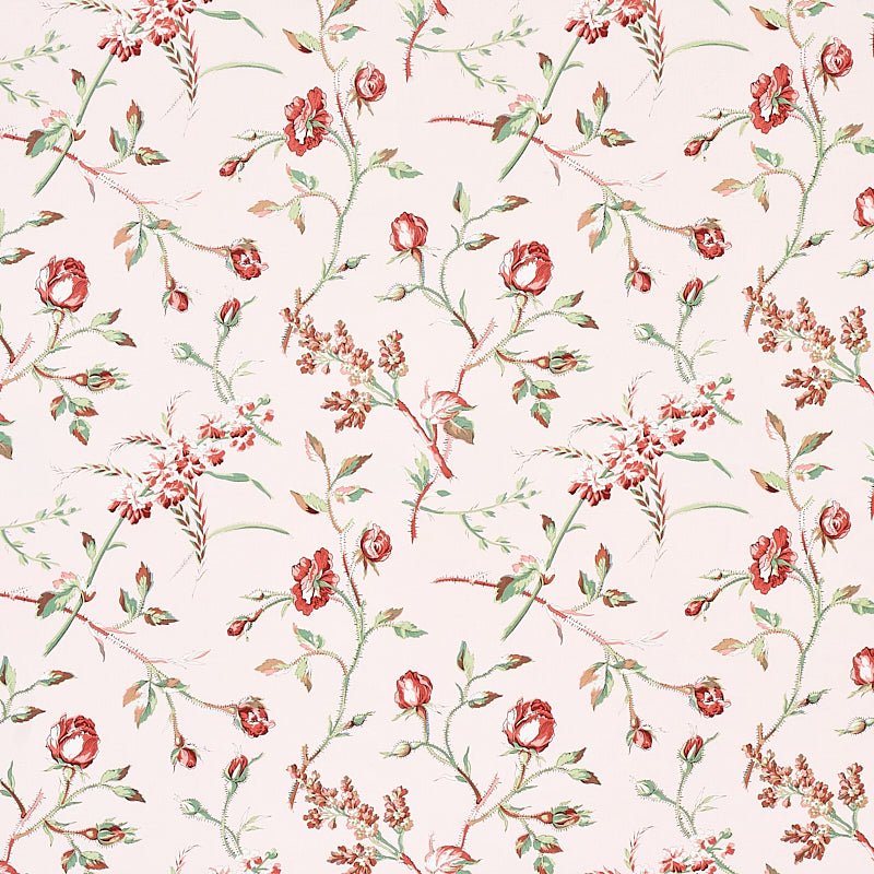 Schumacher BELUZE BLUSH Fabric | Atlanta Fabrics