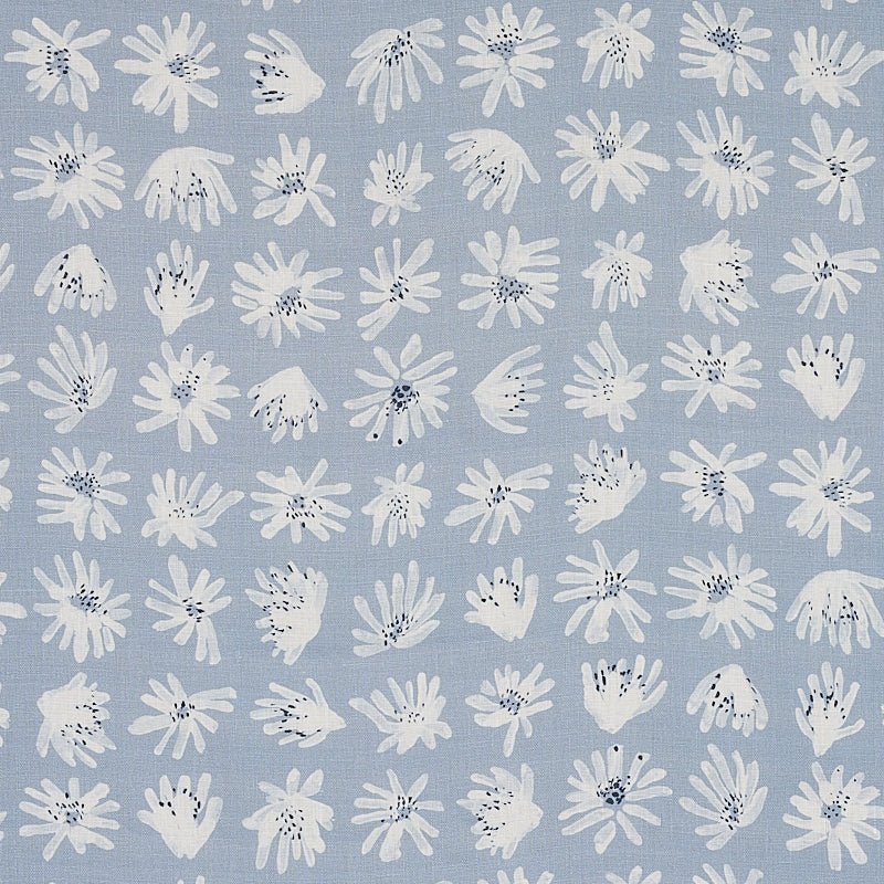 MEADOW ROCK BLUE