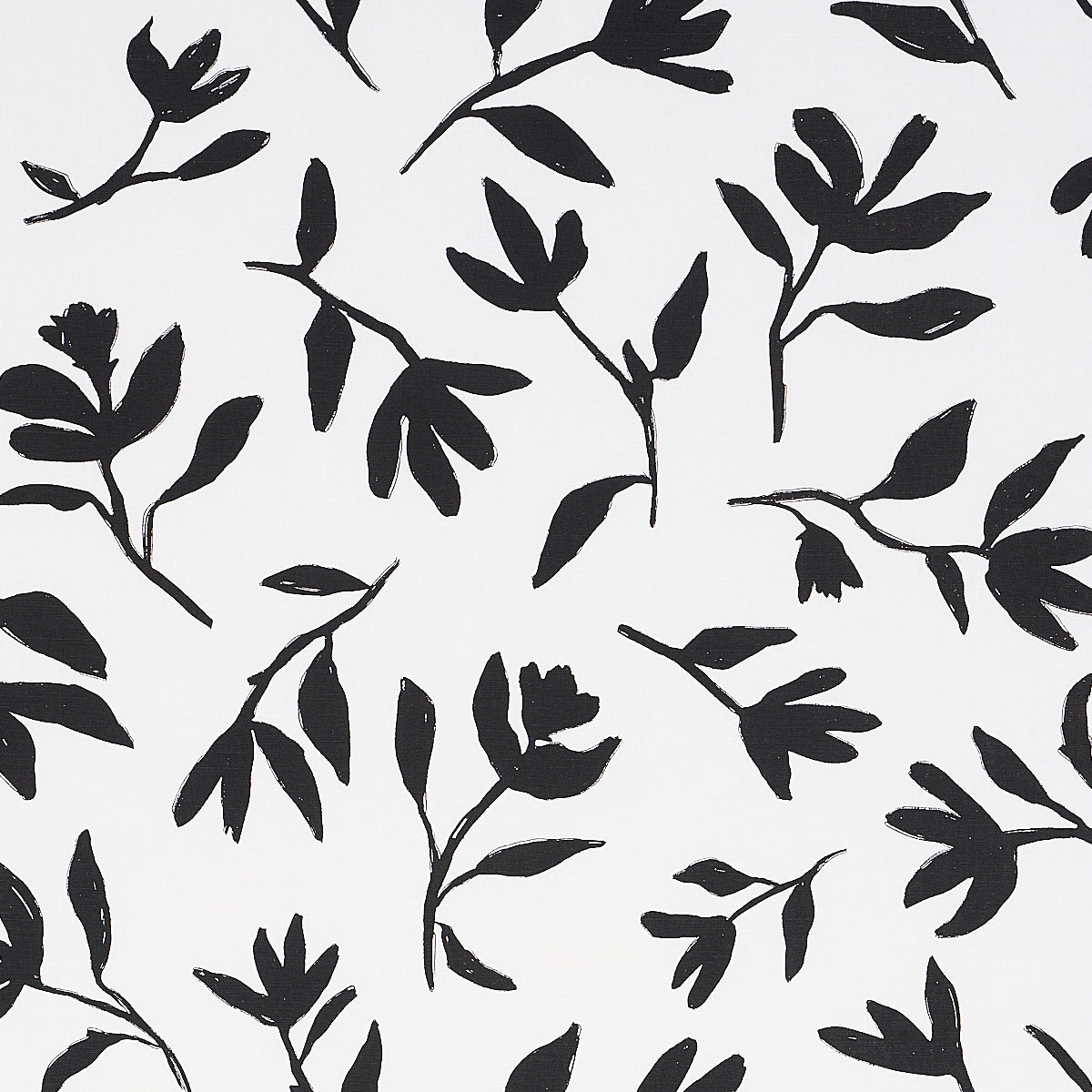 LAUREL BLACK