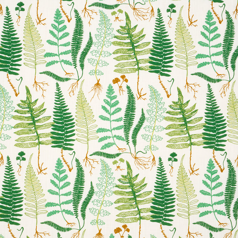 Schumacher HALCOTT INDOOR/OUTDOOR GREEN  | Atlanta Fabrics