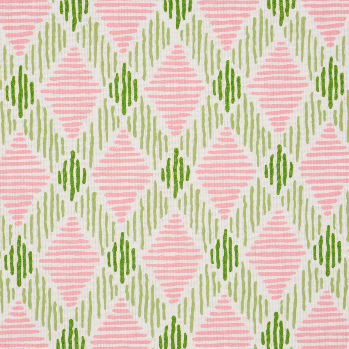 DEXTER INDOOR/OUTDOOR PINK & GREEN