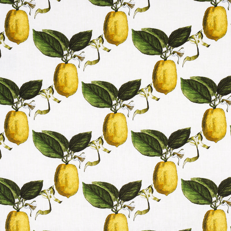 Schumacher LE CITRON IVORY Fabric | Atlanta Fabrics