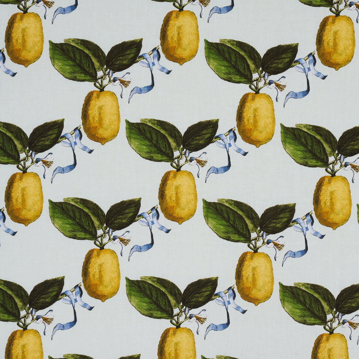 Schumacher LE CITRON SKY Fabric | Atlanta Fabrics