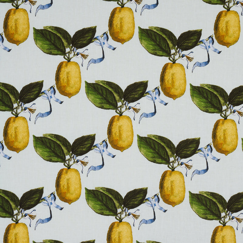 Schumacher LE CITRON SKY Fabric | Atlanta Fabrics