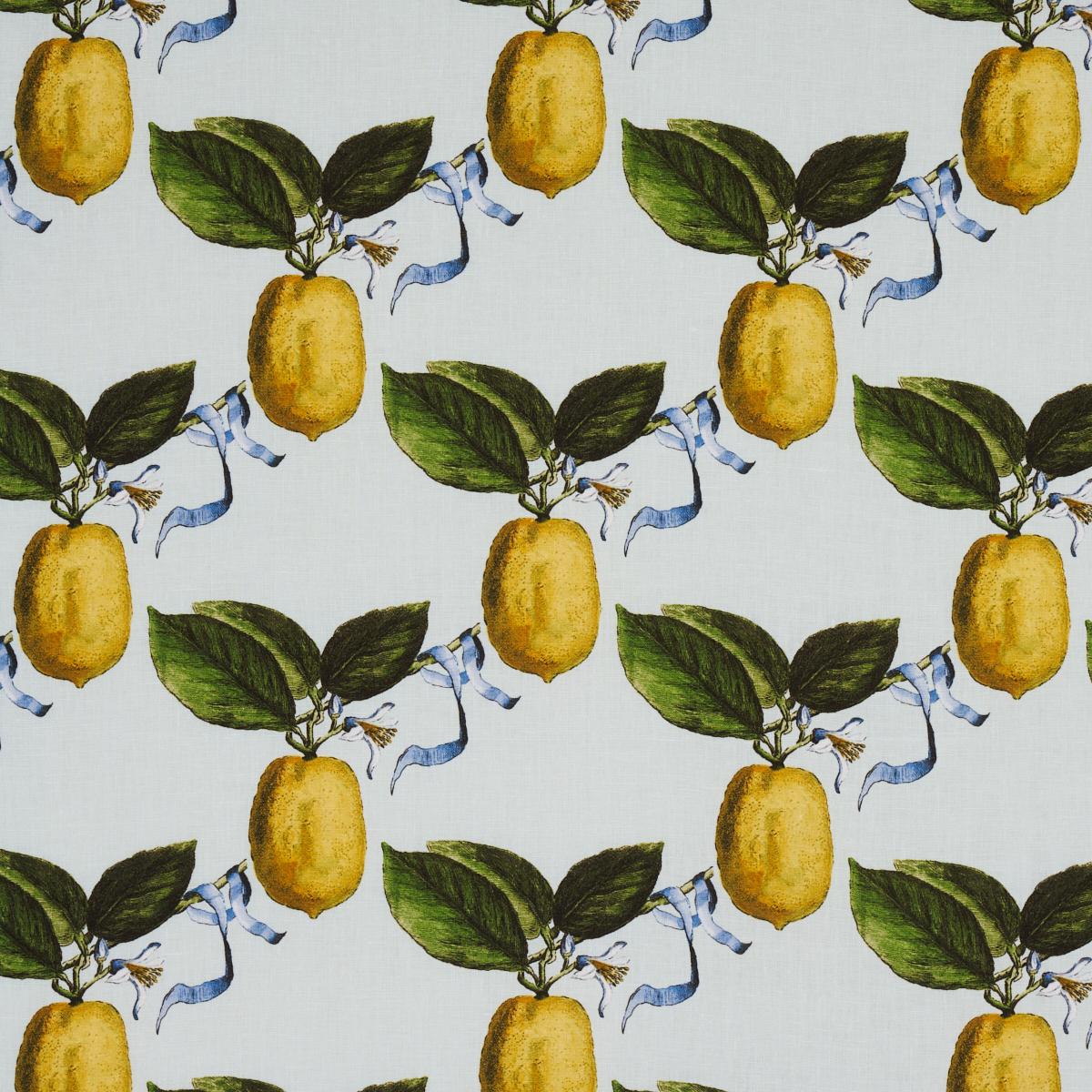 LE CITRON SKY