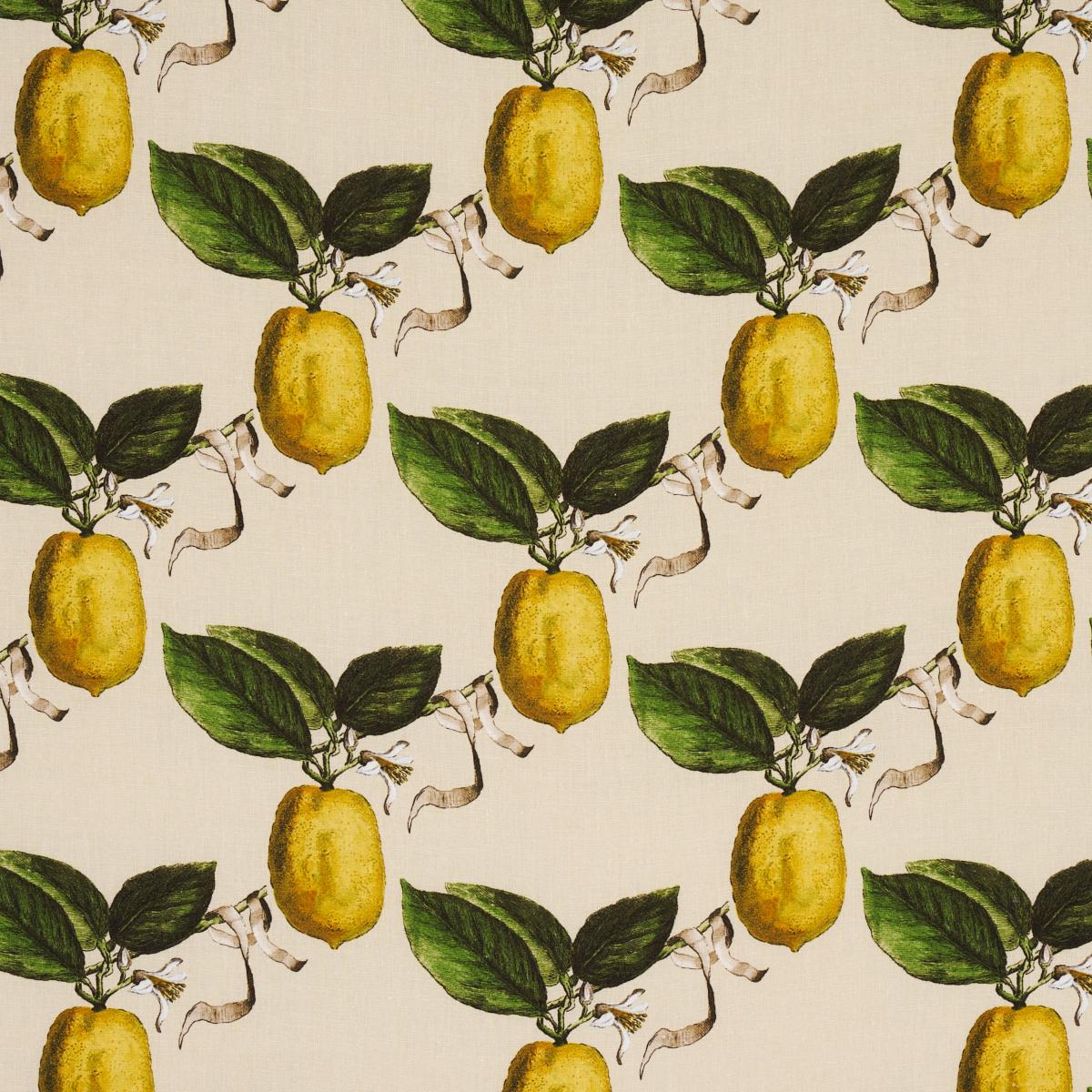 LE CITRON NATURAL