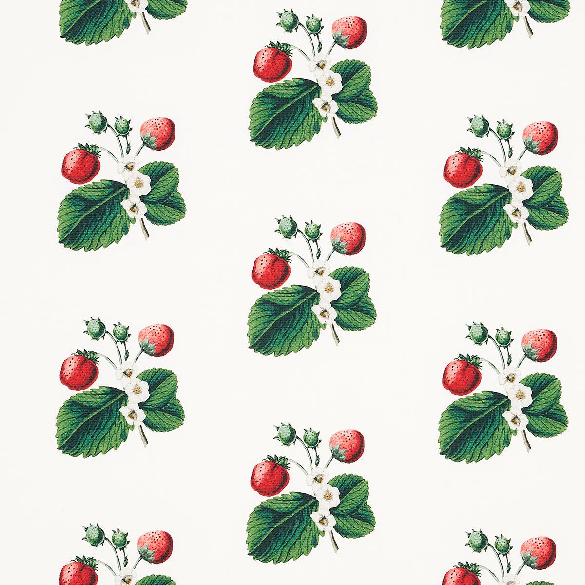 STRAWBERRY HILL WHITE