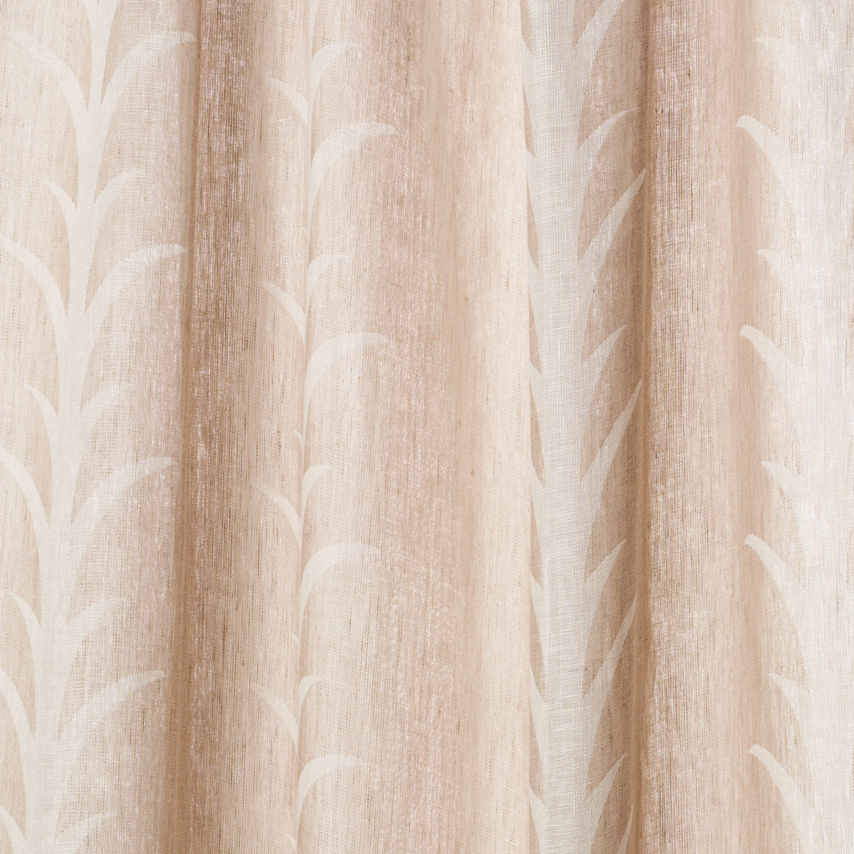 ACANTHUS STRIPE SHEER TAUPE