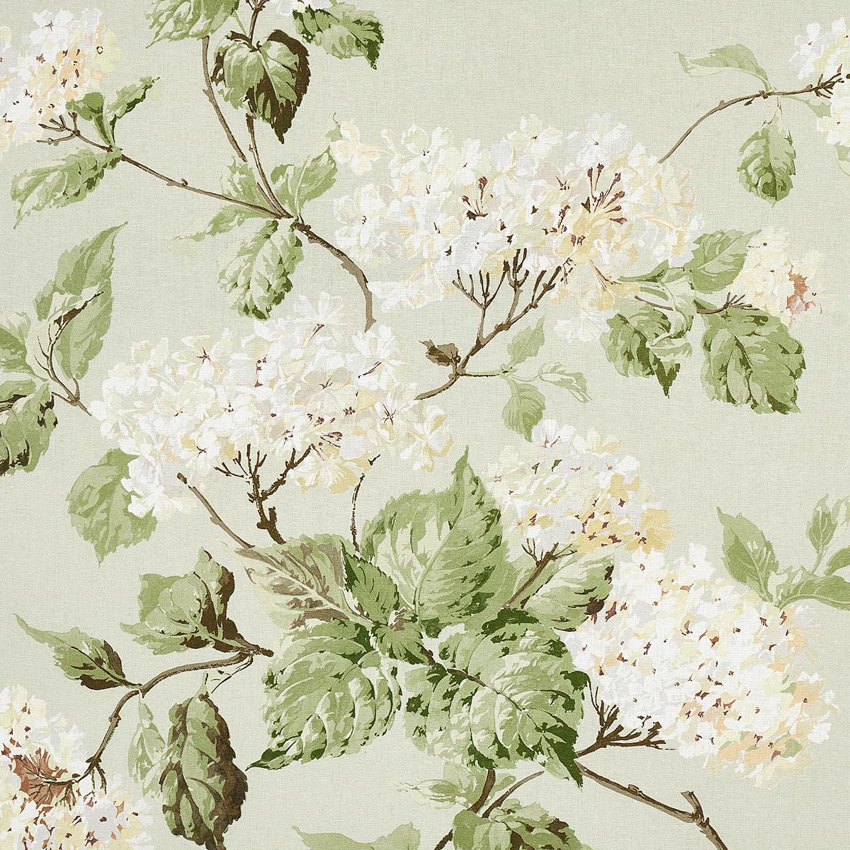 SUMMER HYDRANGEA CELADON