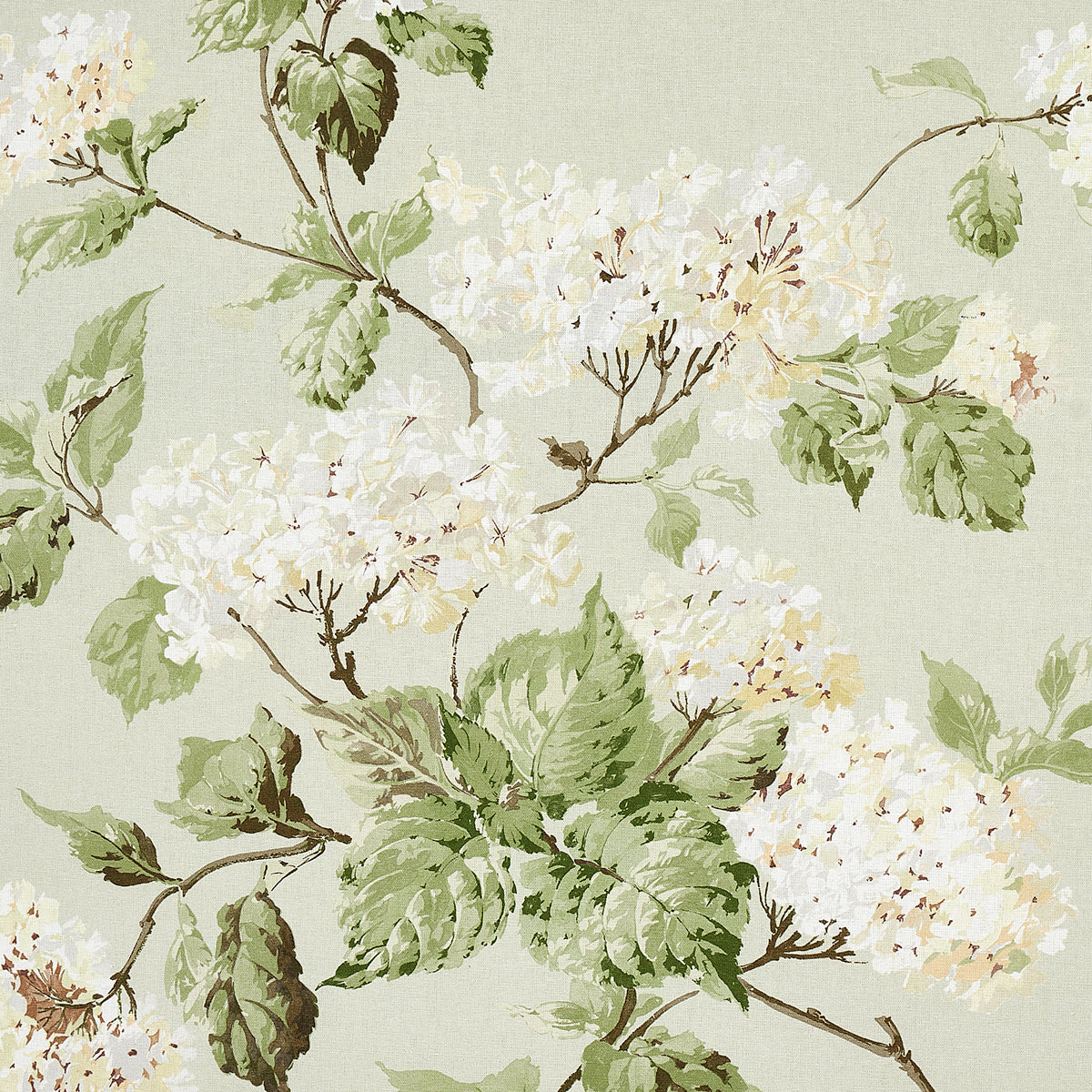 SUMMER HYDRANGEA CELADON