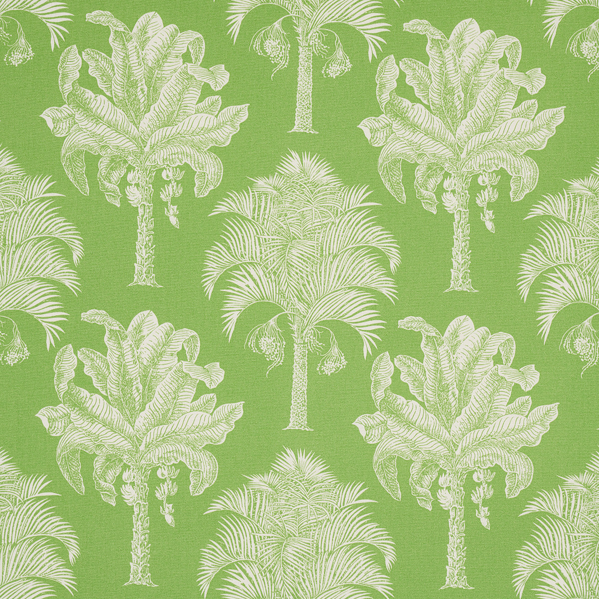 Schumacher GRAND PALMS INDOOR/OUTDOOR GREEN Fabric | Atlanta Fabrics