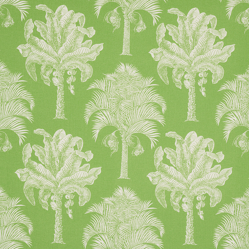 Schumacher GRAND PALMS INDOOR/OUTDOOR GREEN Fabric | Atlanta Fabrics