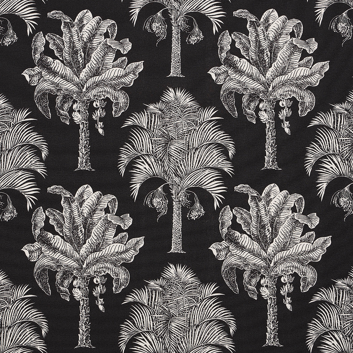 GRAND PALMS INDOOR/OUTDOOR BLACK