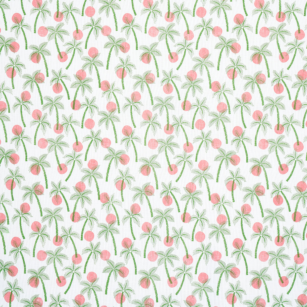 CLARABELLA PALM INDOOR/OUTDOOR TROPICAL