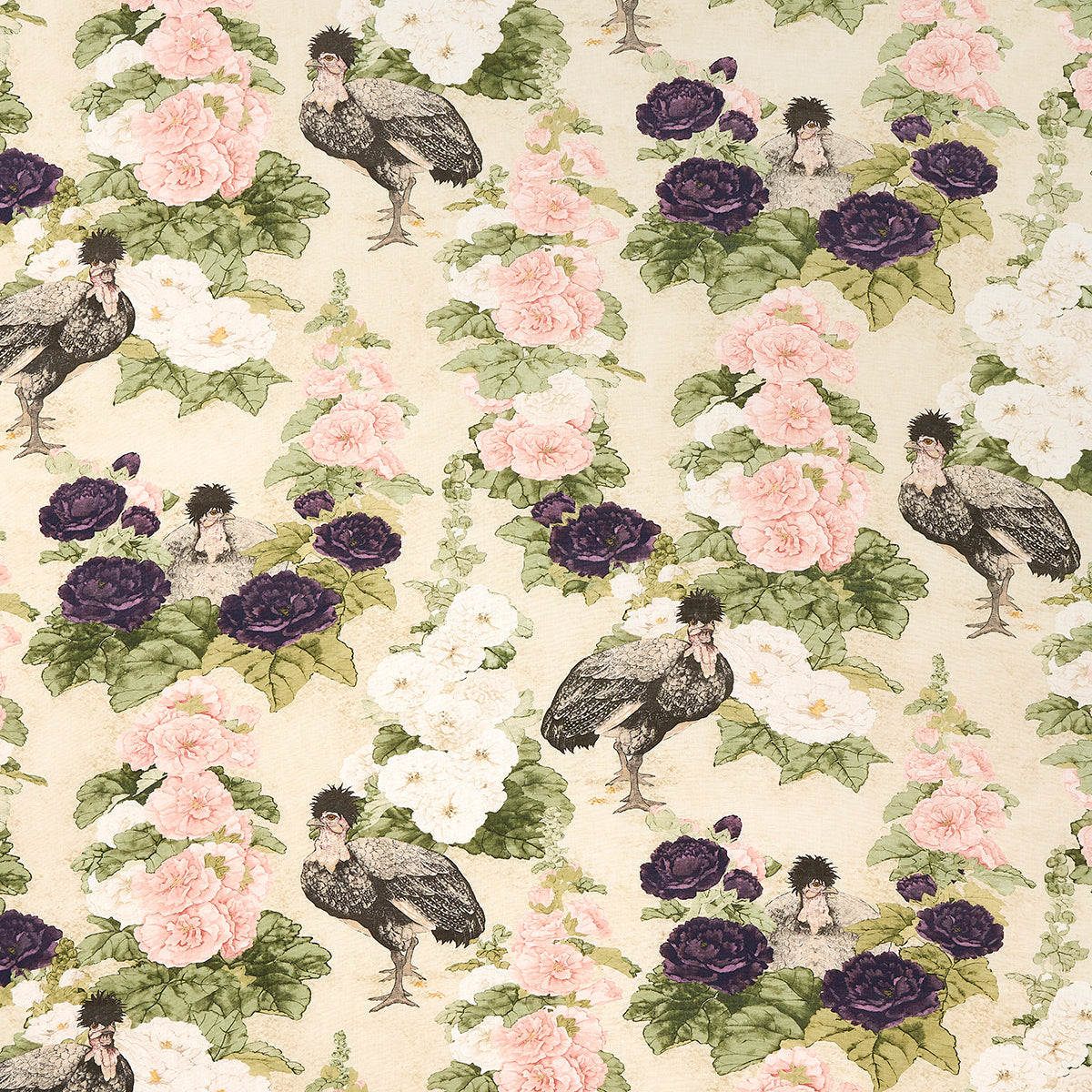 LADY HOLLYHOCK CREME