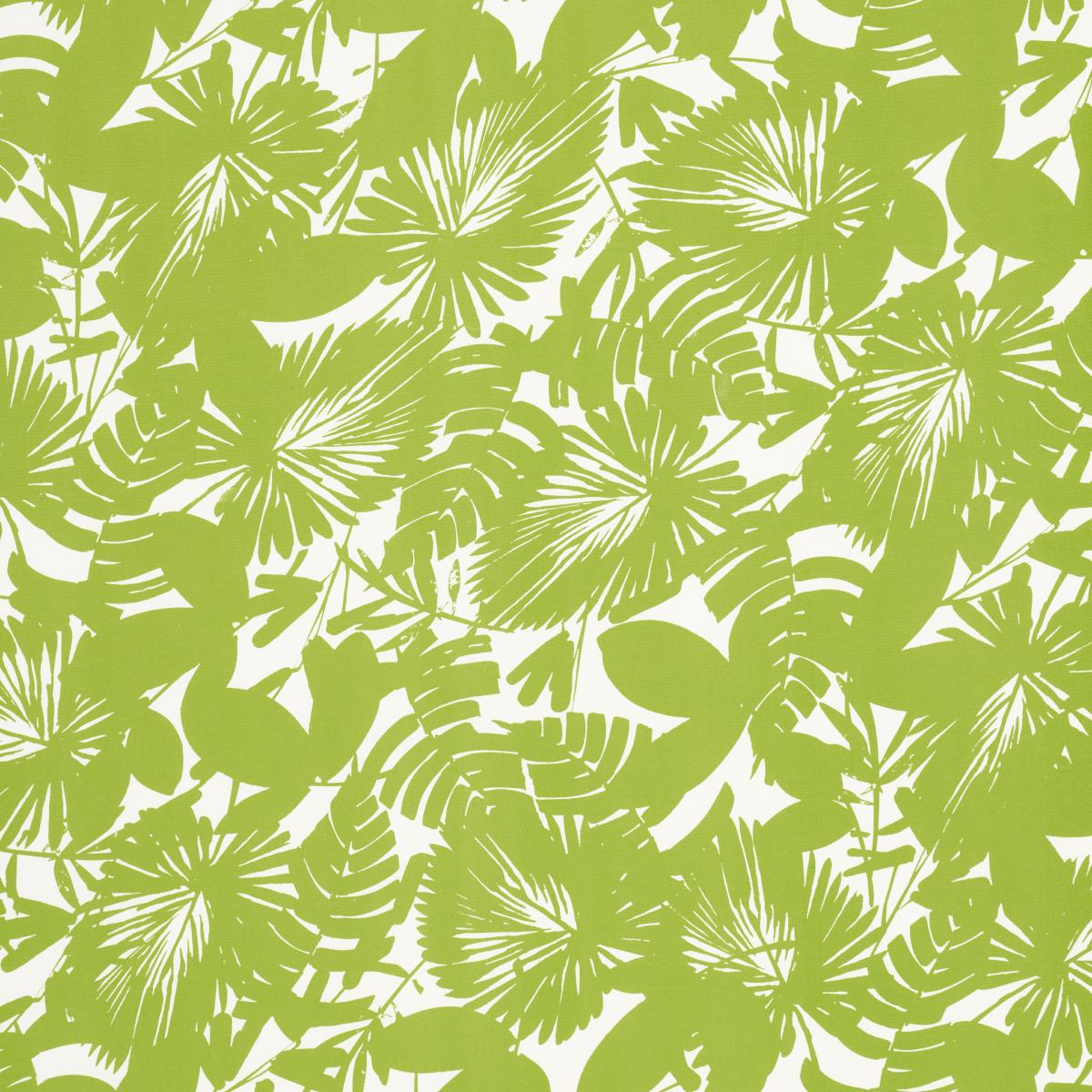 PALISADES PALM INDOOR/OUTDOOR FERN